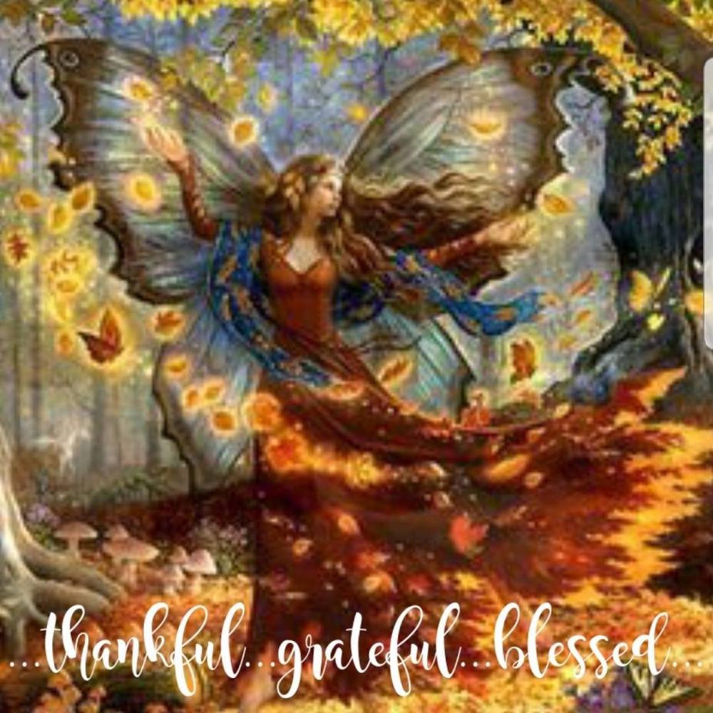 Meet your Posher, Angie